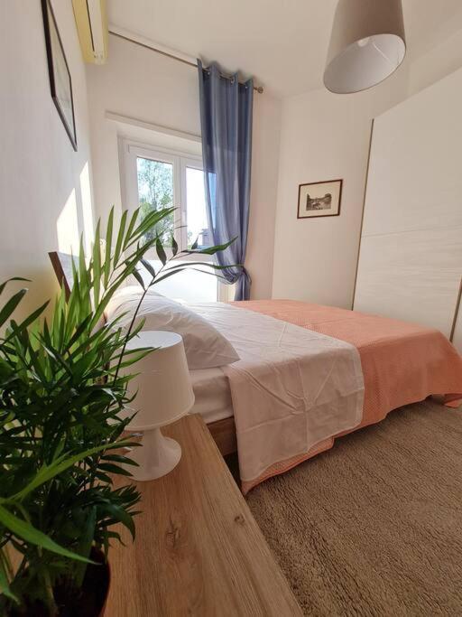 Apartamento Casa Del Vicario Al Vaticano